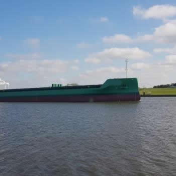 Arklow Ace - Pod of Playful Dolphins